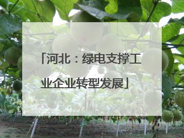 河北：绿电支撑工业企业转型发展